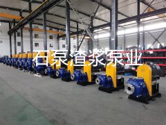 渣浆泵生产厂家：渣浆泵振动原因分析